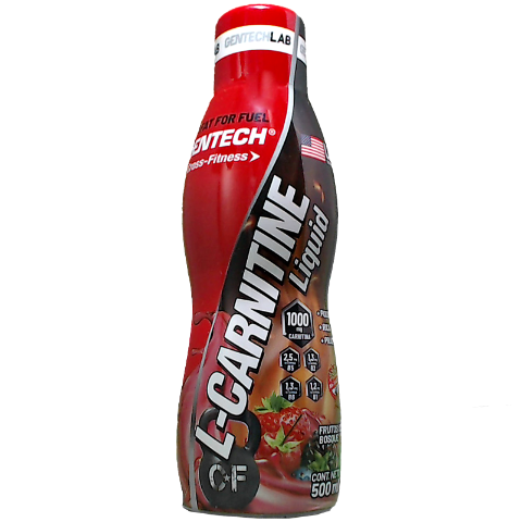 para que serve l-carnitine PORQUE EU USO L-CARNITINA [BENEFCIOS E COMO USAR]